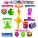 Party Bag Mega Bundle Kids Sensory Toy Fun Pack 10 Piece
