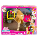 Barbie Mysteries: The Great Horse Chase Dance and Show Horse Set