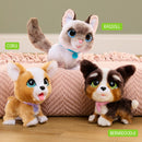 FurReal Plush Toy Interactive Pet Wag-A-Lots Kitty