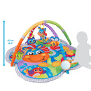 Clip Clop Musical Activity Baby Gym with Lights and Sounds