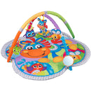 Clip Clop Musical Activity Baby Gym with Lights and Sounds
