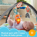 3-in-1 Music Glow and Grow Baby Gym