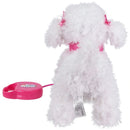 Fluffy Puppies Walking Poodle