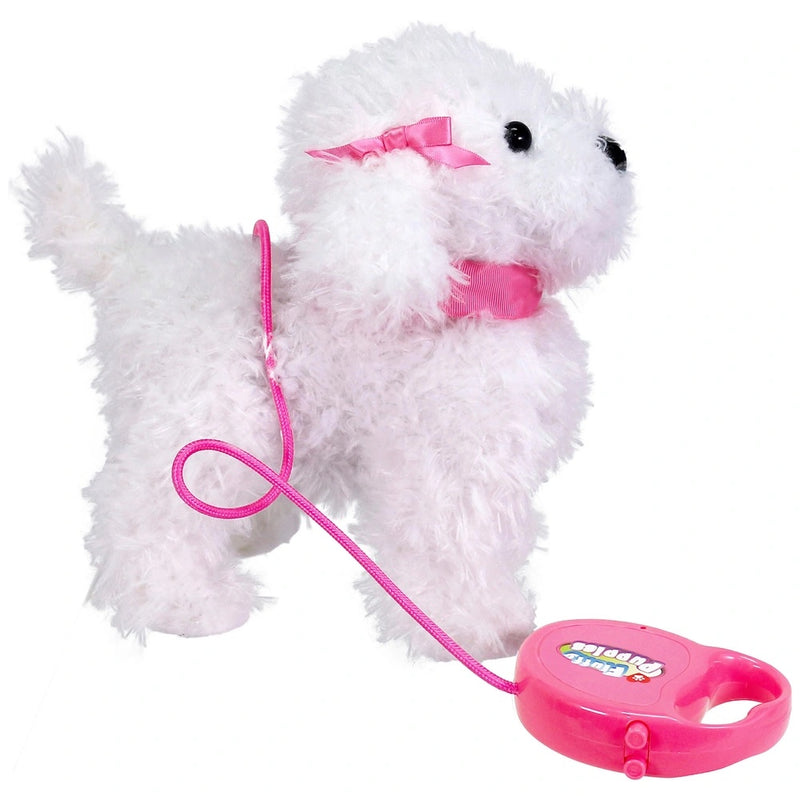 Fluffy Puppies Walking Poodle