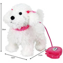 Fluffy Puppies Walking Poodle
