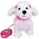 Fluffy Puppies Walking Poodle