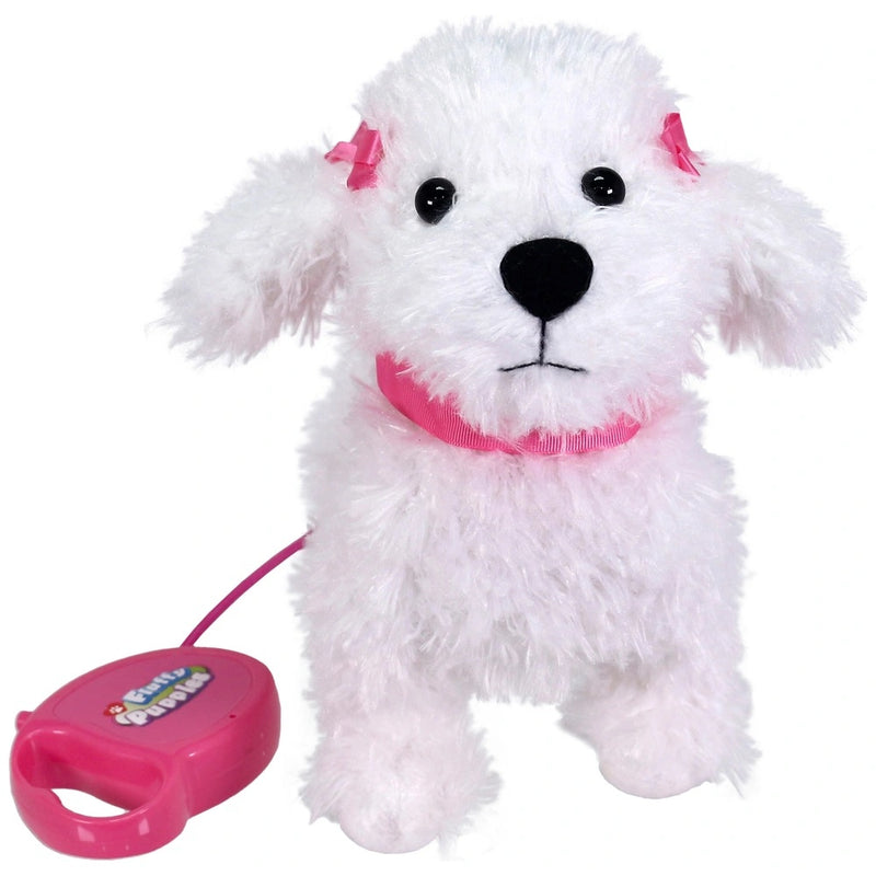 Fluffy Puppies Walking Poodle