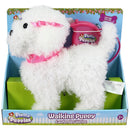 Fluffy Puppies Walking Poodle