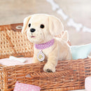 BABY born Plush Pet My Lucky Dog