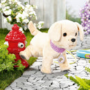 BABY born Plush Pet My Lucky Dog