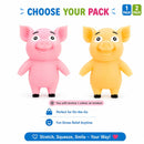 Stretch Pig Toy 1 2 Pack Squishy Fidget Sensory Kids Stress Toy