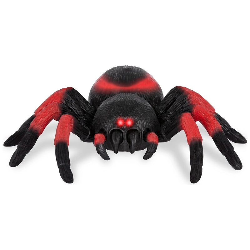 Terra Remote Control Spider Tarantula