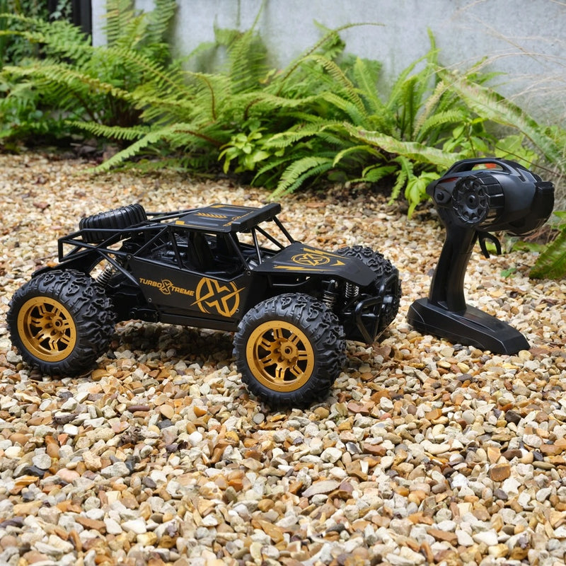 Turbo Xtreme Metal Remote Control Buggy 1:12 Scale