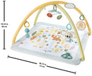 Fisher-Price Simply Senses Newborn Gym Baby Activity Mat with Sensory Toys