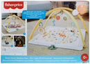 Fisher-Price Simply Senses Newborn Gym Baby Activity Mat with Sensory Toys