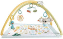 Fisher-Price Simply Senses Newborn Gym Baby Activity Mat with Sensory Toys
